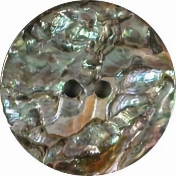 Abalone Shell 2 Hole Button  |   Shell Buttons Natural Buttons Shell Buttons