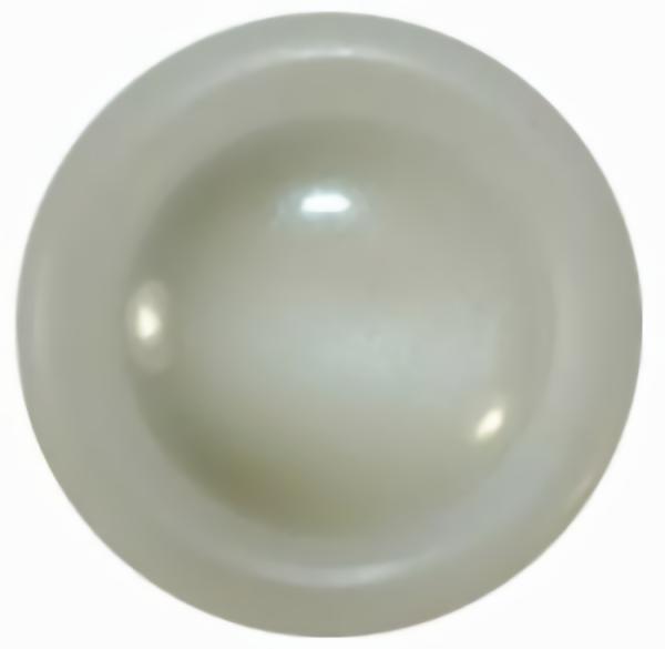 White/Off White Small Dome Button W/Rim Sz 7/8"  |   Color Fashion Color Fashion Color Fashion